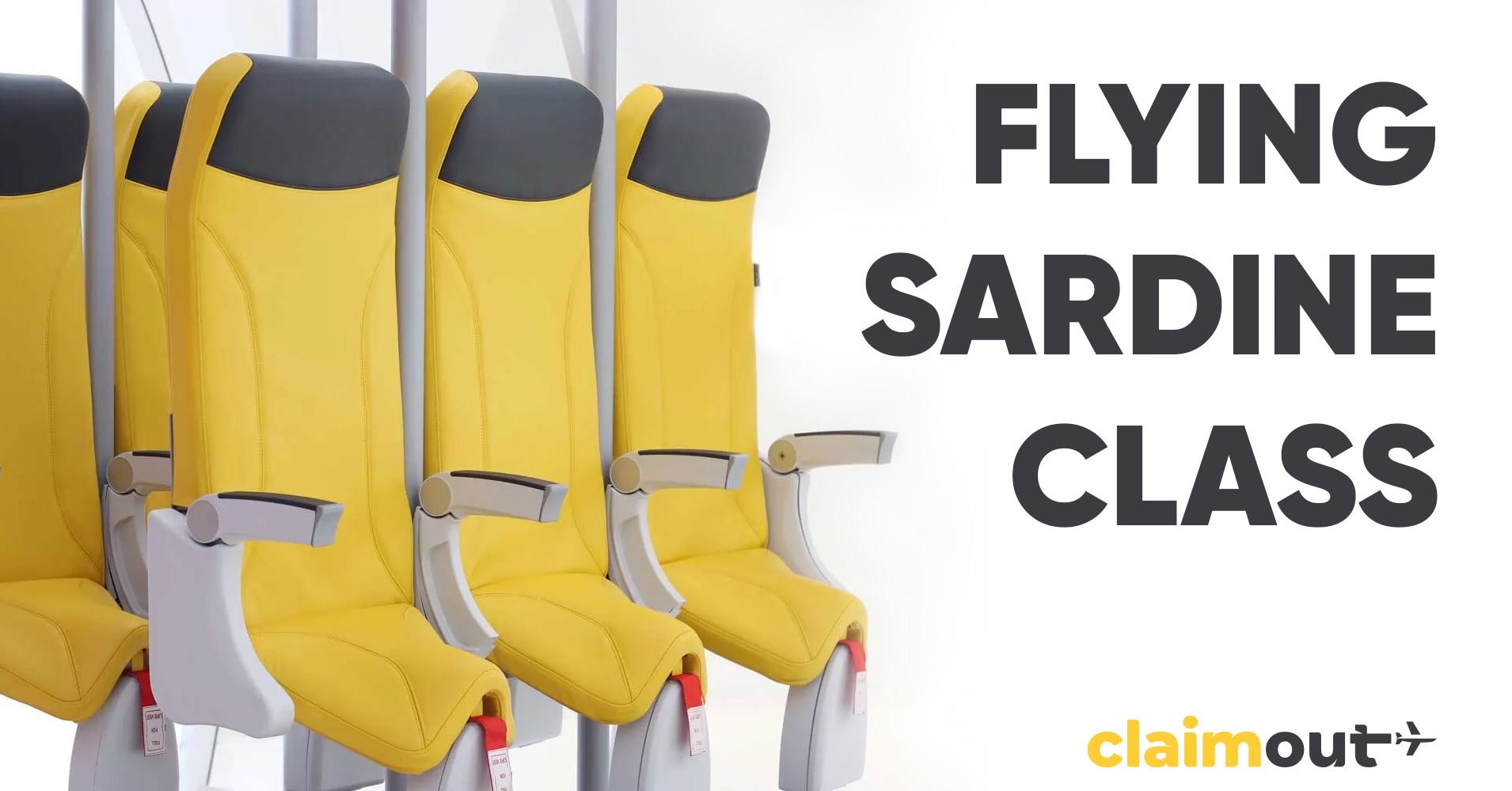 Flying sardine class