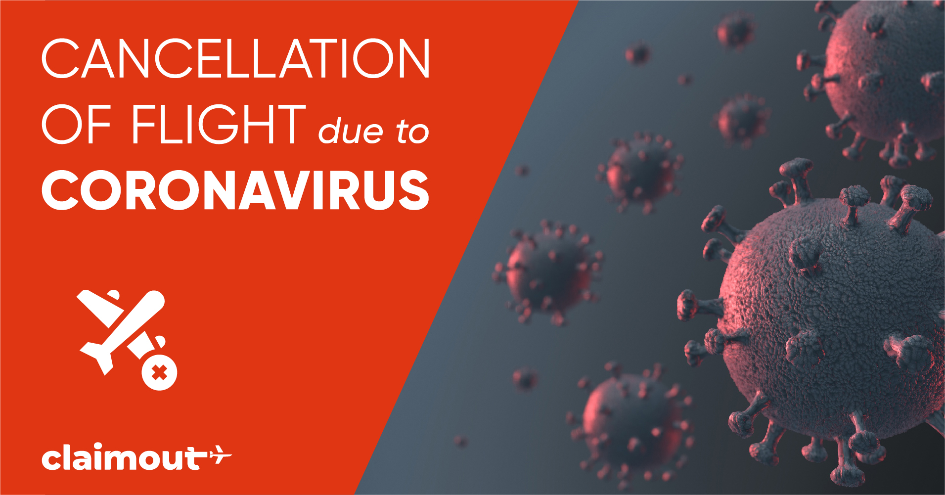 Coronavirus Epidemic